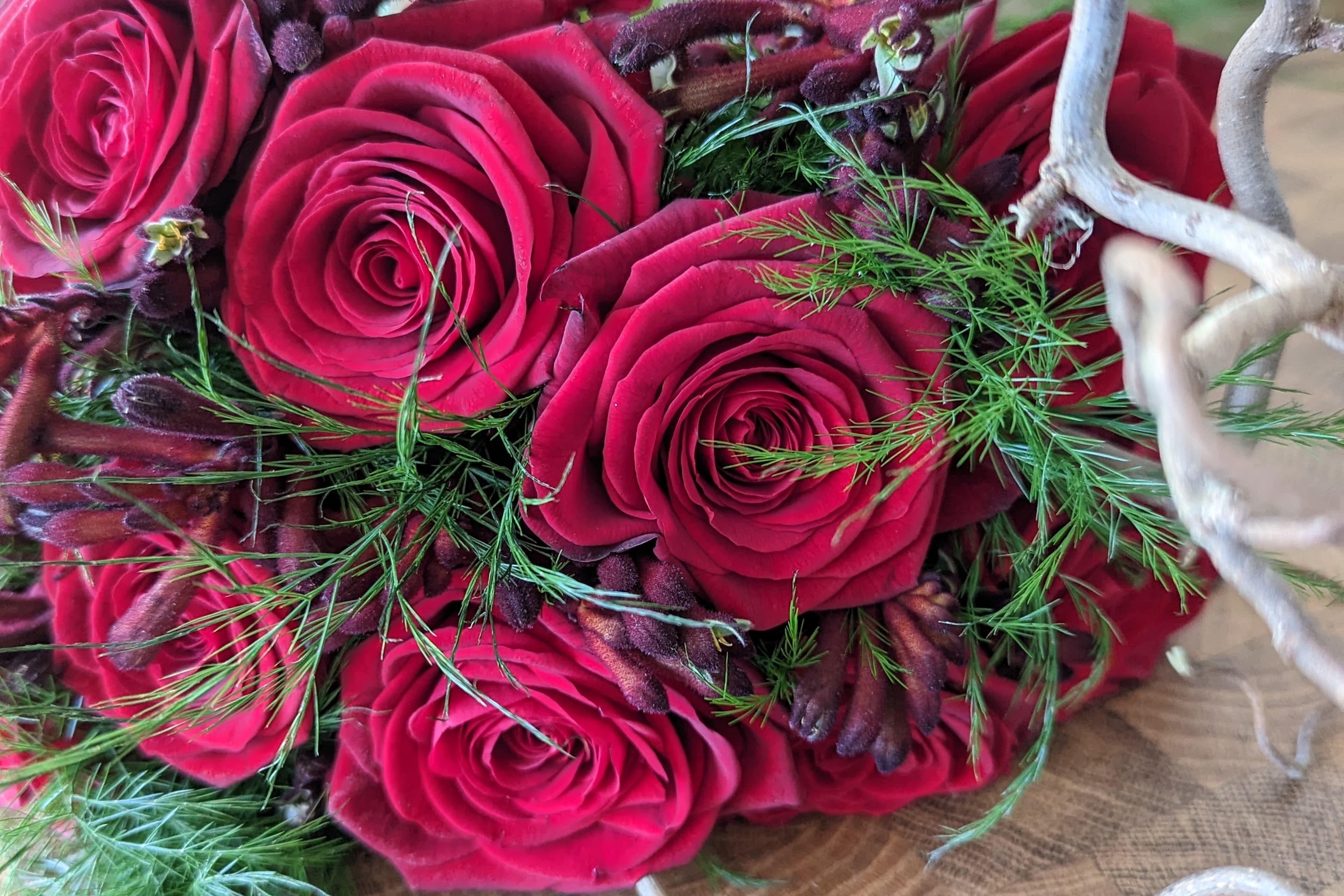 Stems Collective hero